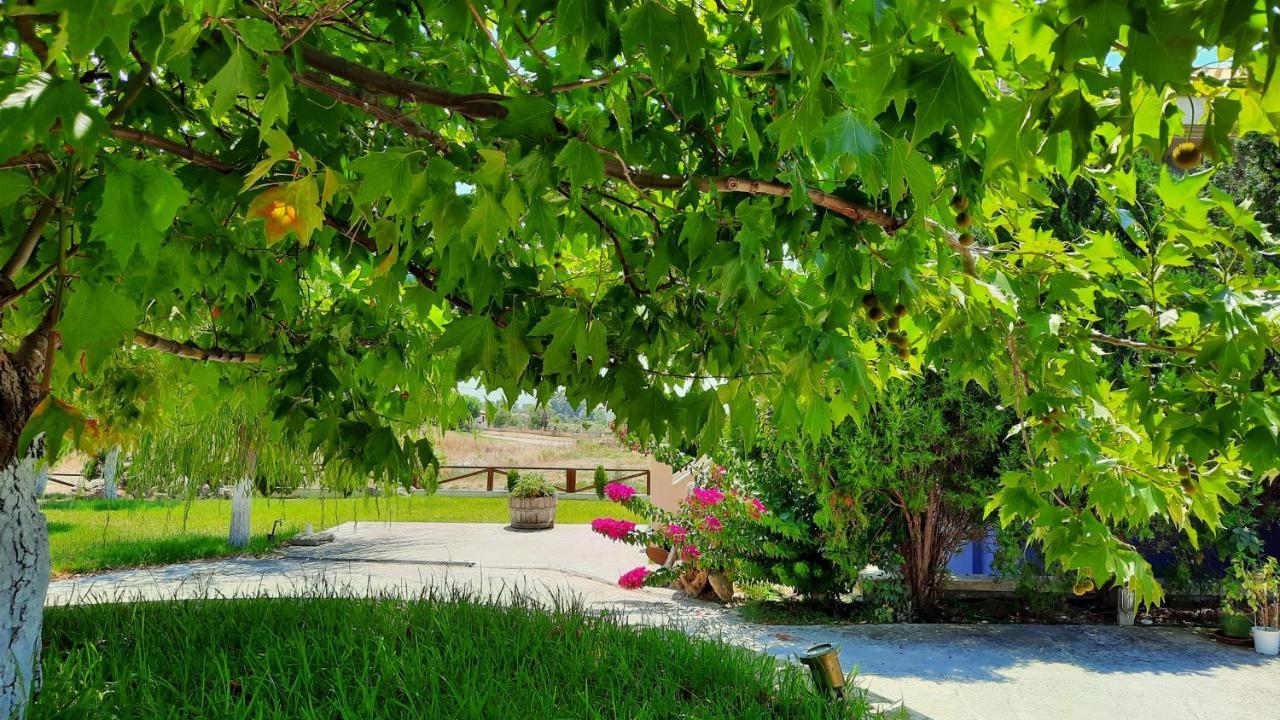 Alekos Beach Houses-Angelo Lixouri Buitenkant foto